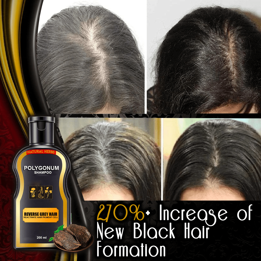 No More Grey Hair Darkening Shampoo