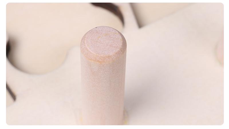 Wooden Educational Toy for Learning Shapes and Colours Count Game